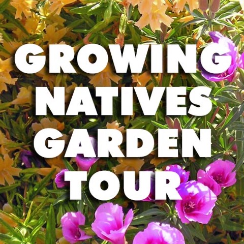 Going Native Garden Tour